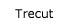 Trecut